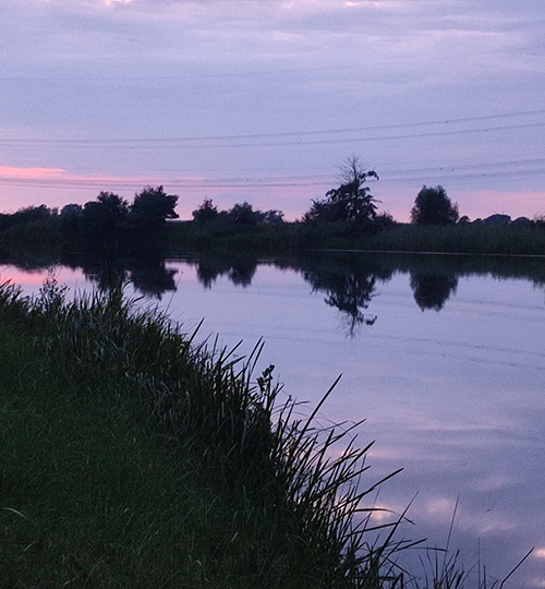 Umfeld parchauer see abend 500x540px
