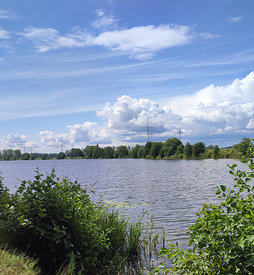 Umfeld parchauer see teil drei 500x540px